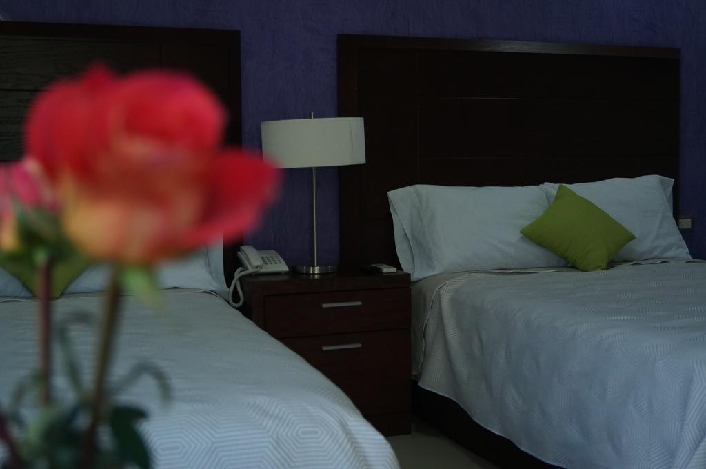 Casa Palomino Hotel Mérida