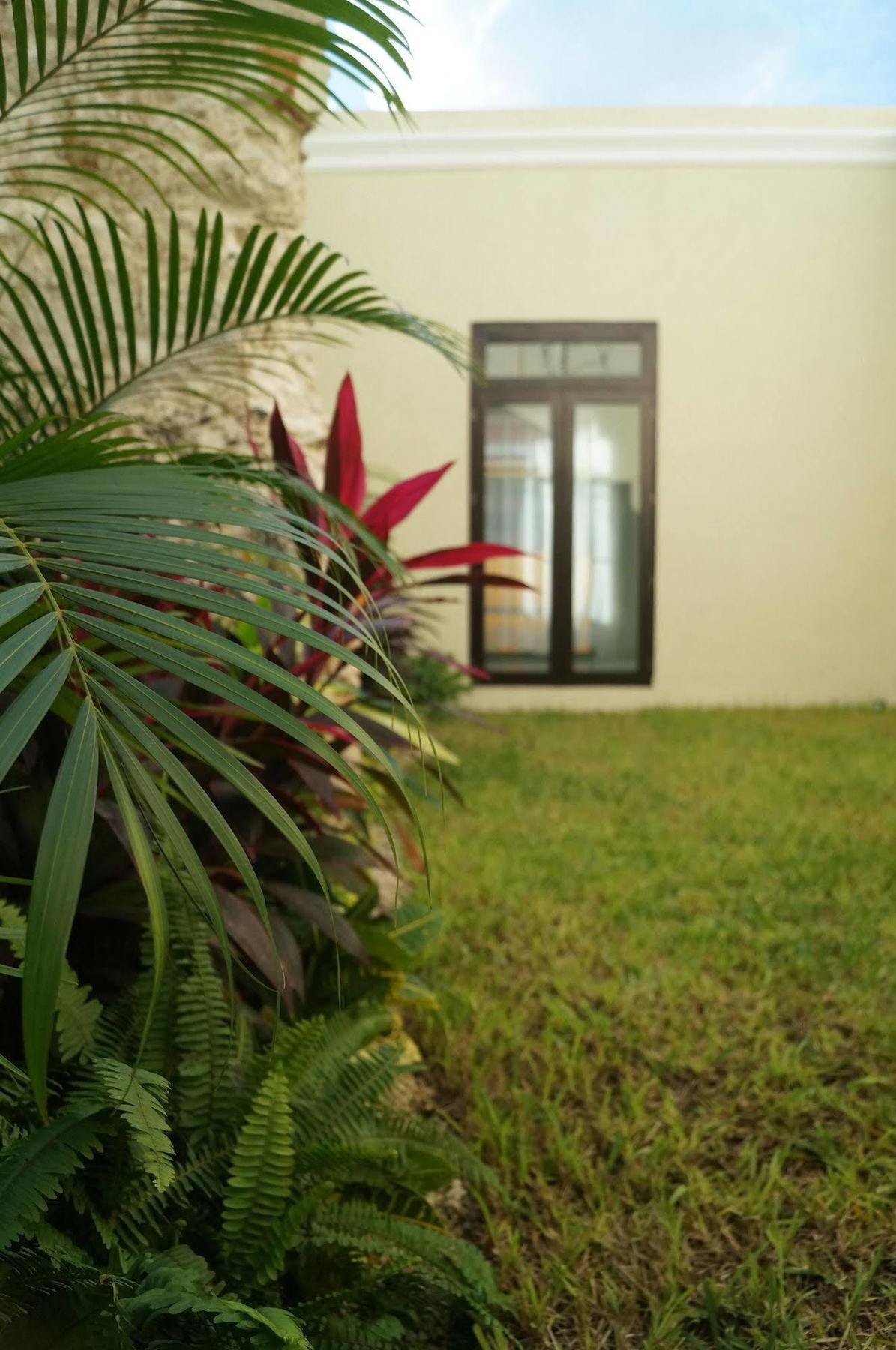 Casa Palomino Mérida